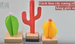Hướng dẫn làm cây xương rồng 3D bằng giấy bìa màu
